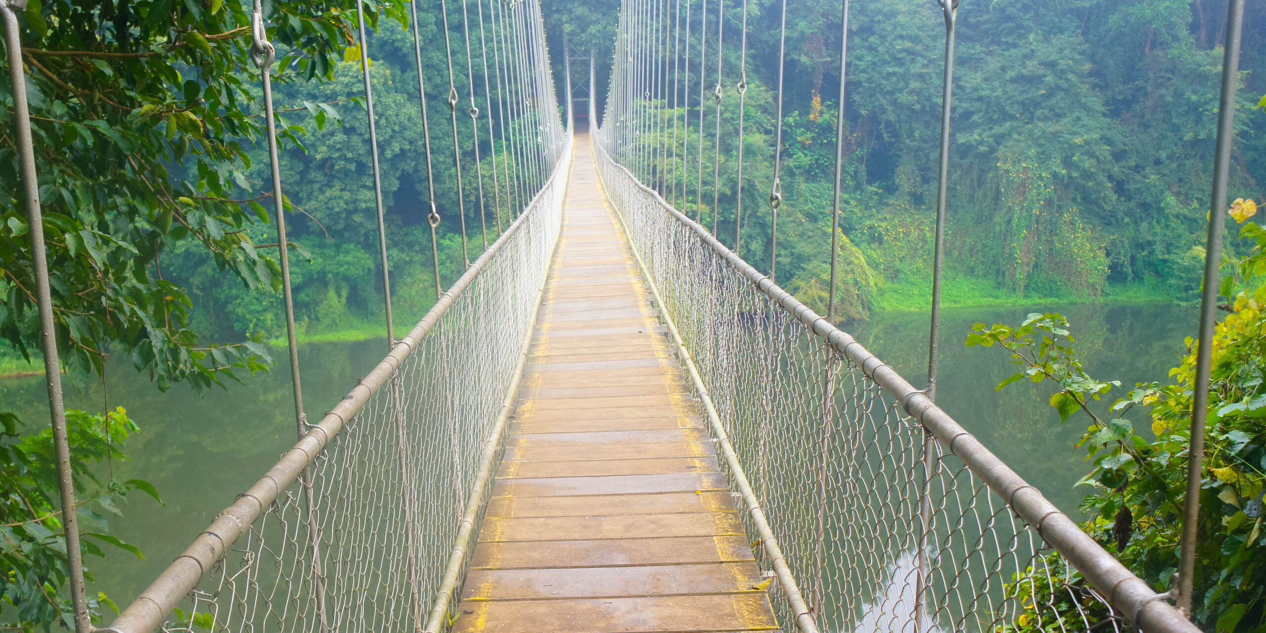 Ongoing Support: Why Franchises Don’t Leave You Hanging