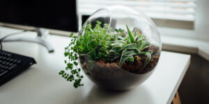 11 Funny Things We Want to Tell Our Customers