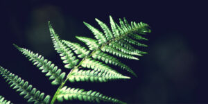 When Everything Falls Apart — That’s When the Real Growth Begins