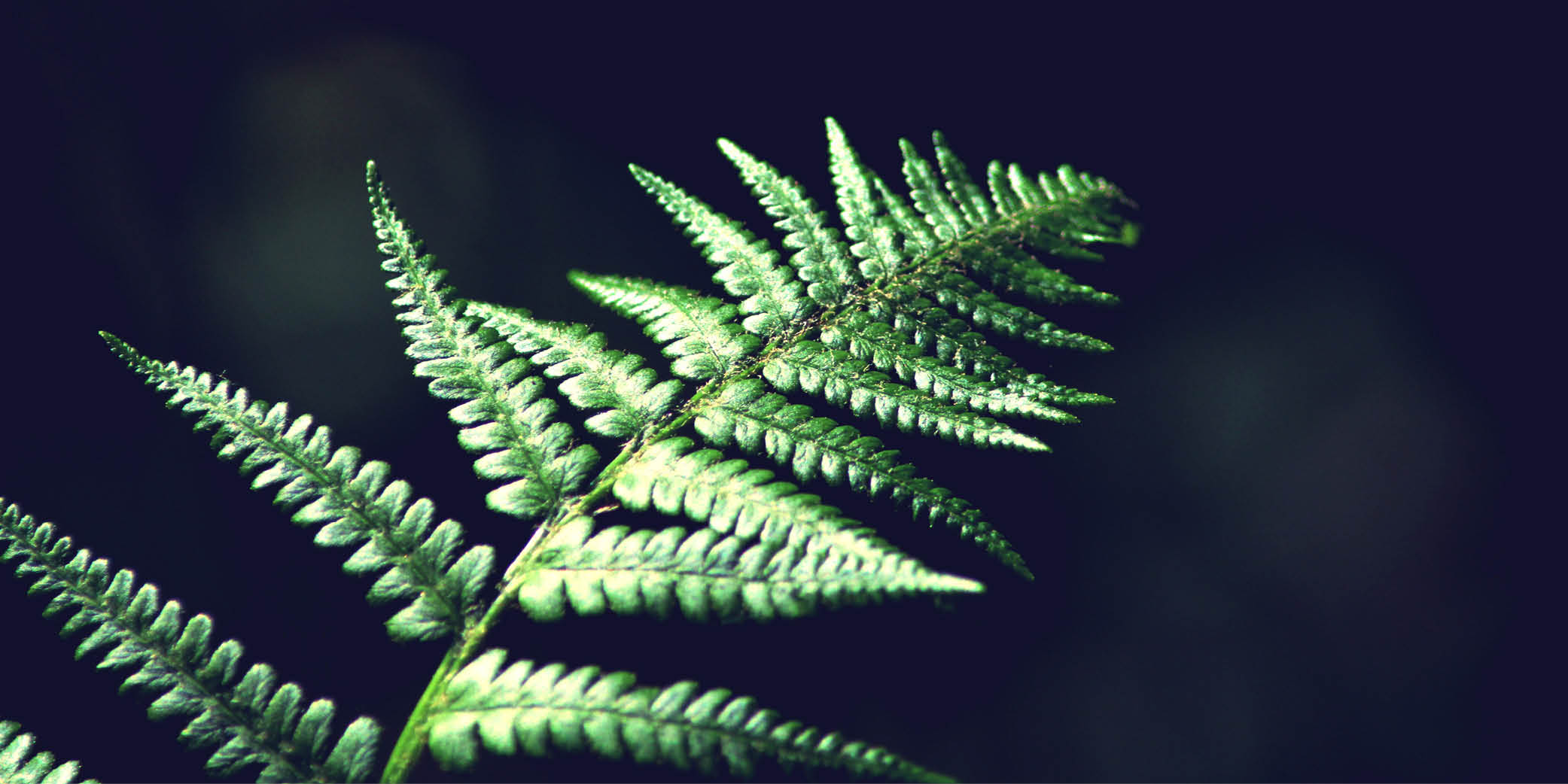 When Everything Falls Apart — That’s When the Real Growth Begins